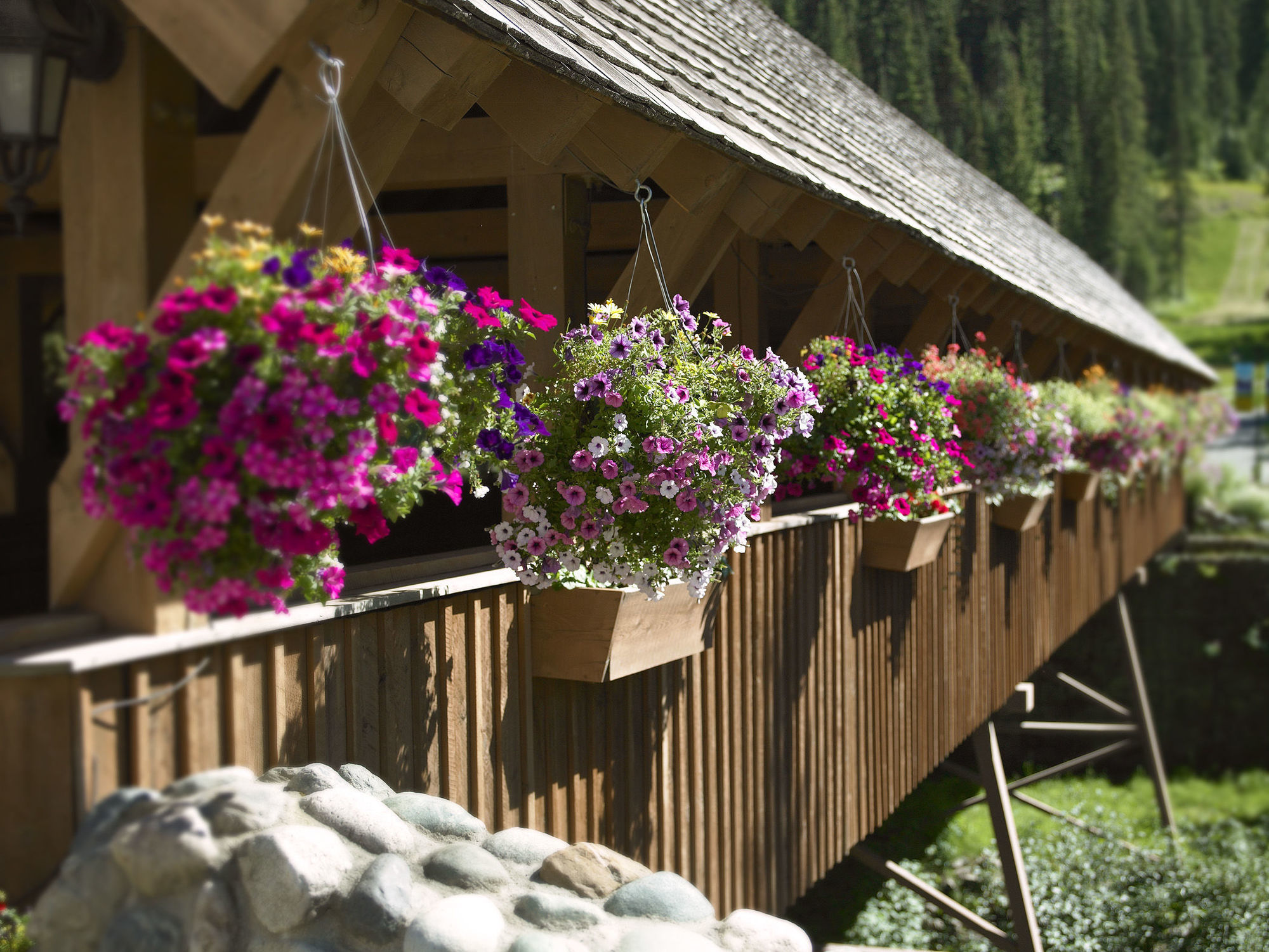 Sundance Lodge Sun Peaks Eksteriør billede